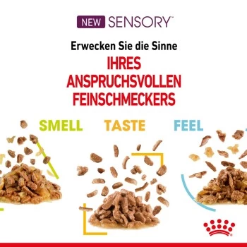 ROYAL CANIN SENSORY Smell In Gelee Für Wählerische Katzen 12x85g 6 ROYAL CANIN SENSORY Smell In Gelee Für Wählerische Katzen 12x85g – Bild 6