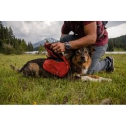 Ruffwear Front Range™ Hundetagesrucksack Rot XS -Haustierprodukte 4e85c5fcf8221559a11a36a85cf18292f16c7ae6 1639836 de DE e32c1ef235eed898fdfb11ee92e223827867be67d4f5kE