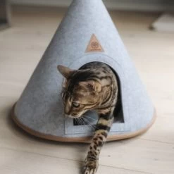 Canadian Cat Company Katzenzelt Cone -Haustierprodukte 5109d27ef761061b6b743871ab0498da3478f504 1394210 de DE f112ffaf078c6f8bf03764511a0d90aab2c21021HdDAgd