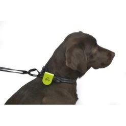 Dogs Creek Magnet-Element Merope Gelb 5 Dogs Creek Magnet-Element Merope Gelb -Haustierprodukte 559f6391d0d4caaaa2d5e0ff6669e2c9e2d7470a a1b49744188993c21b12e7b7ca8108d89b0a9f0b