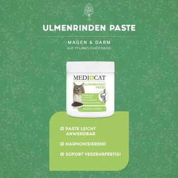 MediCat Ulmenrinde Paste 4 MediCat Ulmenrinde Paste – Bild 4