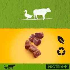 Pedigree Dose Protein+ In Pastete 12x800g Rind Mit Ente 9 Pedigree Dose Protein+ In Pastete 12x800g Rind Mit Ente -Haustierprodukte 5bcfb7506934c392393531e7a2b33611110d2fcd 1394131 de DE pedigree 6