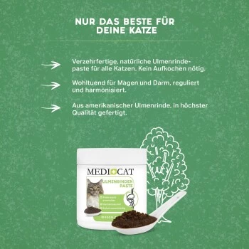 MediCat Ulmenrinde Paste 3 MediCat Ulmenrinde Paste – Bild 3