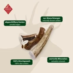 ChronoBalance Geweih Ganz (S) 2er Paket -Haustierprodukte 5de89258b4b0ec3c6e18d2fb03615decfb7298ea 1418690 de DE 97f6faa2e066481717c6e9970bb381a3824303b82EeAsK