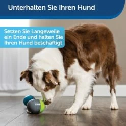 PetSafe Elektronisches Hundespielzeug Ricochet 11 PetSafe Elektronisches Hundespielzeug Ricochet -Haustierprodukte 5eadda9b8e1c472d17e8160a968897c5f1589a26 1418724 de DE f0080b3bce77c44349e2b70b9453ceaf44e2d3d6nqnVTG