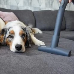 THOMAS Perfect Air Animal Pure -Haustierprodukte 603137fb8b3080096fe34bb0ce0b35713a0081ec 1406731 de DE 61ffd08a4c243aaa506c87a5b11107f7ffeaf308tEO6cw