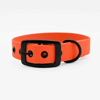 THE DOG IDEA Biothane Halsband Orange Schwarz XS 3 THE DOG IDEA Biothane Halsband Orange Schwarz XS – Bild 3