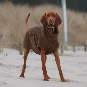 THE DOG IDEA Bademantel Every Braun XXXS 3 THE DOG IDEA Bademantel Every Braun XXXS – Bild 3