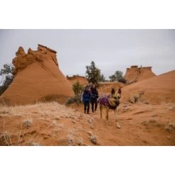 Ruffwear Overcoat Fuse™ Hundejacke Violett XXS 21 Ruffwear Overcoat Fuse™ Hundejacke Violett XXS -Haustierprodukte 63f0f6c2ce316cb05ad8327a81fc0693c061f7c9 1639761 de DE c1f94f51e318dc9402504b3760a5b7d8c990fb78cnSRrn