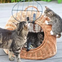 Aumüller Rattanhöhle Gesottene Weide 6 Aumüller Rattanhöhle Gesottene Weide -Haustierprodukte 644da56b8da52f185185b101fb3460690748ee17 ed38553d0e52453b951e62f08b371eb8a64cf3ed