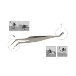 Lills Zeckenzange Aus Edelstahl 7 Lills Zeckenzange Aus Edelstahl -Haustierprodukte 666f3a3fb181b232ac8339dfb19af759aa845978 1488086 de DE f0e508c7b7855d95e1b35fa6dabdb0d0ba4555f76ECWsn