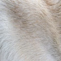 THE DOG IDEA Klassische Hundebürste Naturfibre -Haustierprodukte 676bdeb1a8deaabc9fd3f5e57dee401f0e69a9f8 1485270 de DE eacaeb5bfae7cf6612554a6aa926d1cc6dfba5918XqumA