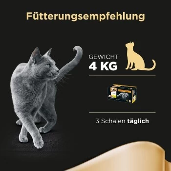 Sheba Selection In Sauce 32x85g 6 Sheba Selection In Sauce 32x85g – Bild 6