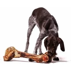 Irish Pure Giant Beef Bone -Haustierprodukte 6903e89fe19b581d968d870adfc6091e65defe6e 1288899 de DE 59b1dfc4bf54e712927d1b3836b3e67c045cd6ea9sucte