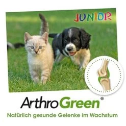 ArthroGreen Junior 25 G 9 ArthroGreen Junior 25 G -Haustierprodukte 6a60d69f3d1c00ba35978cfcbf4d867d243561bc 1674241 de DE bed99a5dadc632a71630f6b3e1df7dd049168828anHF6x