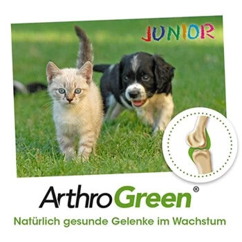 ArthroGreen Junior 25 G 3 ArthroGreen Junior 25 G – Bild 3