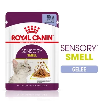 ROYAL CANIN SENSORY Smell In Gelee Für Wählerische Katzen 12x85g 1 ROYAL CANIN SENSORY Smell In Gelee Für Wählerische Katzen 12x85g