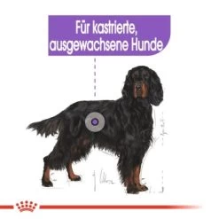 ROYAL CANIN Sterilised Maxi 12 Kg 11 ROYAL CANIN Sterilised Maxi 12 Kg -Haustierprodukte 6ebba30103677b140267651b6c1cc3e27c295bec 1376254 de DE oajs 5