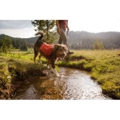 Ruffwear Front Range™ Hundetagesrucksack Rot XS -Haustierprodukte 6fcda691161ff080a6f6075669f57b606bb5abbe 1639836 de DE 827ca11f058fc24bc21d1c4bb6cec8d9576cc1835E84NB