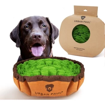 URBAN PAUL Schnüffelteppich - Grün 1 URBAN PAUL Schnüffelteppich - Grün