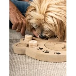 TrendPet Intelligenzspielzeug Intelli 6 TrendPet Intelligenzspielzeug Intelli -Haustierprodukte 7e1792e42e7959e202e8afb7ce14de252ec4329c 1260161 de DE 60f238b9de8120068f1a0ec6b608bba069b63accYVenr9