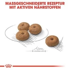 ROYAL CANIN Mini Sterilised 8 Kg 11 ROYAL CANIN Mini Sterilised 8 Kg -Haustierprodukte 806fc6336005ad959d7d862e33db5a4395c21e92 9484a9f283c4cfb9043b1fbe29679b7ef2a59298