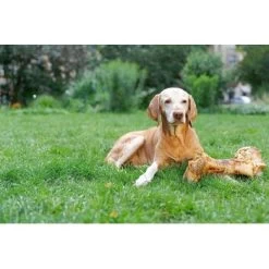 Irish Pure Giant Beef Bone -Haustierprodukte 86b097faf9a0196246935fbf5ce74d2766656c5a 1288899 de DE 690203a5b936f847408528d712bec5c6f6352a69nUjHKg