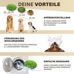 URBAN PAUL Schnüffelteppich - Grün 11 URBAN PAUL Schnüffelteppich - Grün -Haustierprodukte 88b1e83589eb6f9b9d6ae1ee9e00f76cd280ec72 1477263 de DE c4a0dff3ce61eff6f47a9625e837cb3fb18e27168j8mOa