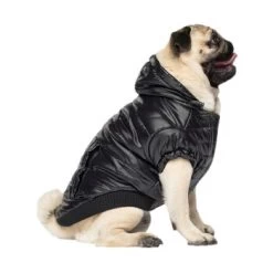 Canada Pooch Glänzende Pufferweste XXS 7 Canada Pooch Glänzende Pufferweste XXS -Haustierprodukte 8ec11177ec9f86d200ff22bc3e0c234ecff91e7e dfb5b396c833a1ace7625fc5796632bee13eda68