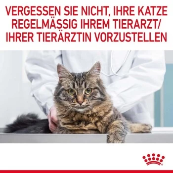 ROYAL CANIN Light Weight Care 12x85g In Soße 11 ROYAL CANIN Light Weight Care 12x85g In Soße – Bild 11