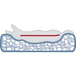 Trixie Vital Bett Noah 50 Cm, 50 Cm, 17 Cm 7 Trixie Vital Bett Noah 50 Cm, 50 Cm, 17 Cm -Haustierprodukte 8f80fa8eb5a48591717c668bd46914fa7efa55b1 1340492 de DE 1d7984e7a0780c7270c71e6eea10dd366c3aac48Kr03jO