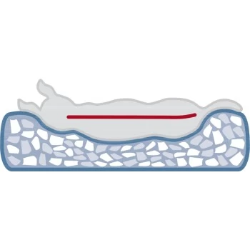 Trixie Vital Bett Noah 50 Cm, 50 Cm, 17 Cm 4 Trixie Vital Bett Noah 50 Cm, 50 Cm, 17 Cm – Bild 4