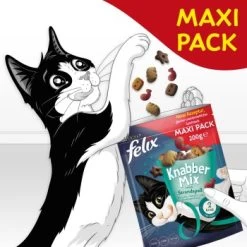 Felix KnabberMix 5x200g Strandspaß -Haustierprodukte 8fd1ad46501b4c142c4d5be252f6aa66def0dbc9 1366669 de DE felix snacks wb7