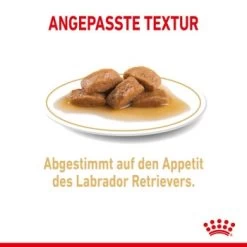 ROYAL CANIN Labrador Retriever Adul Stückchen In Soße 10x140g 11 ROYAL CANIN Labrador Retriever Adul Stückchen In Soße 10x140g -Haustierprodukte 908d2bfcf8b7046cd23a14cb7b707cf7b2315fea b65885ba483fc622da80d0c8a5f75f1f8003e0ca
