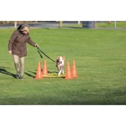Trixie Dog Activity Hindernisse Ø30x50cm -Haustierprodukte 91cbc45b90b8a0cfe868659f3dcf31f8aff28e6a 1287033 de DE Trixie Hindernisse wb 2