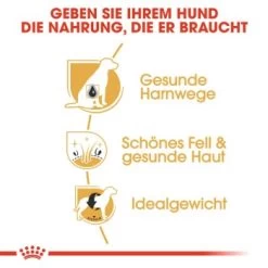 ROYAL CANIN Bichon Frisé Adult 1,5 Kg -Haustierprodukte 9360ef399dd7991f4138416a3168c1b58cc56899 7f2fbf0f9eb0dedb42b1d34e34eb41ac36d13a97