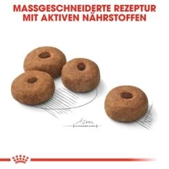 ROYAL CANIN Sterilised Maxi 12 Kg 15 ROYAL CANIN Sterilised Maxi 12 Kg -Haustierprodukte 94c68ab0ab5077e276b5425337ce7e88dce5538a 1376254 de DE oajs 7
