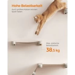 FEANDREA Clickat Katzen-Hängematte -Haustierprodukte 95e79a6adc42de3a6fd7169ad86a15250475460e 1681421 de DE 2162716de0a1552ee6b9cb18bfa03d352c2b2eebcOFmp1