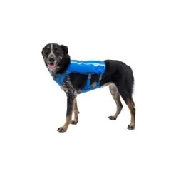 Ruffwear Trail Runner™ Weste Blau XS -Haustierprodukte 98442c3f4ada02dc38bbe918031392b2ba7e1943 1639640 de DE 57b978069b1aa95a705eb1af32811decb2e9cfecAOoih7