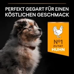 PRO PLAN Optistart Medium Puppy 3 Kg -Haustierprodukte 9a92408e2d341a6cc1d3dde9b2f9e7aec56b8319 1206411 8