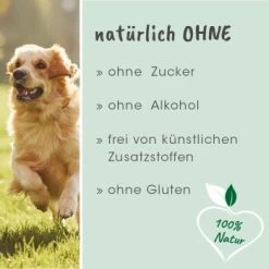 CdVet DarmAktiv Hund & Katze -Haustierprodukte a1d5aa8ad1e78768ea3d0046581a6d39ae39c5c8 1275783 de DE 5094779605b36bf328986df22be8858164a90f82vPDpOL