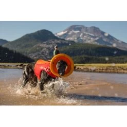 Ruffwear Hydro Plane™ Spielzeug M Orange 9 Ruffwear Hydro Plane™ Spielzeug M Orange -Haustierprodukte a3976cd8510df92d7b86f42c35fd984bc0313421 1364300 de DE 7e1ea9adae25d55e79a8aed2cc6dc797ac8d0d03R1qvUL