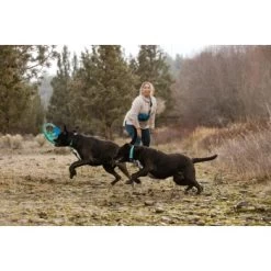 Ruffwear Pacific Ring™ Spielzeug Blau/ Türkis 16 Ruffwear Pacific Ring™ Spielzeug Blau/ Türkis -Haustierprodukte aaae4ecd59db92ffe25787fd56b7315d42974ecb 1444351 de DE f747ae339bc2beff156a317c539c1237b854177bd9ZZMN