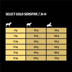 SELECT GOLD Sensitive Senior Huhn & Reis 6x800 G -Haustierprodukte ada4b2948bf9c1013a90dc0a54aaa28a0a1fcabe 1099560 de DE 7