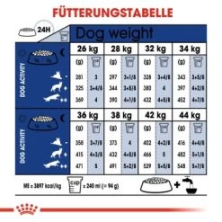 ROYAL CANIN Maxi Adult 15 Kg -Haustierprodukte afa0c6d0075b7e351e53e295a5bd3d4f60b4d7ed 3e4fa56383198a5d995a0639db89add2d8c4f2fc