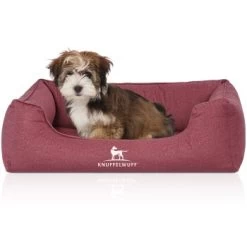 Knuffelwuff Orthopädisches Wasserabweisendes Hundebett Malou Aus Velours Mit Handwebcharakter Rot M-L 7 Knuffelwuff Orthopädisches Wasserabweisendes Hundebett Malou Aus Velours Mit Handwebcharakter Rot M-L -Haustierprodukte b0cc14bd9884abc74f72c1258c4a58d5efdba82e 1411953 de DE c79547e5b18697fd5625708cd1e924e66fbde92cdJmDNU