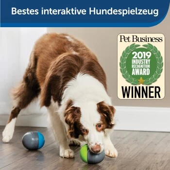 PetSafe Elektronisches Hundespielzeug Ricochet 2 PetSafe Elektronisches Hundespielzeug Ricochet – Bild 2