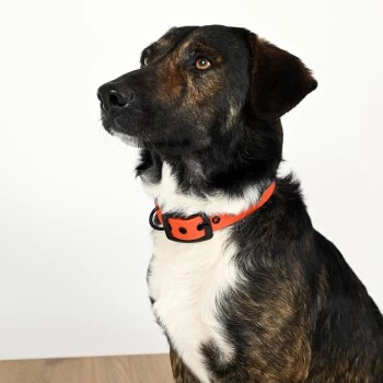 THE DOG IDEA Biothane Halsband Orange Schwarz XS 4 THE DOG IDEA Biothane Halsband Orange Schwarz XS – Bild 4