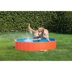 FIT+FUN Pool S 7 FIT+FUN Pool S -Haustierprodukte b1cb34c1bb87f494acad835c3466dcf4312a1144 49528db90b739bc978efe51f63d1f6253667db9a