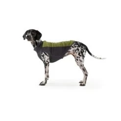 Ruffwear Climate Changer™ Fleece-Pullover Für Hunde Rot S -Haustierprodukte b28669818d8fcb81e0661ed639732808849f280a 1369661 de DE 64aaf340211e6364e47cd57e7a205b9b6074a78fHTZZhE